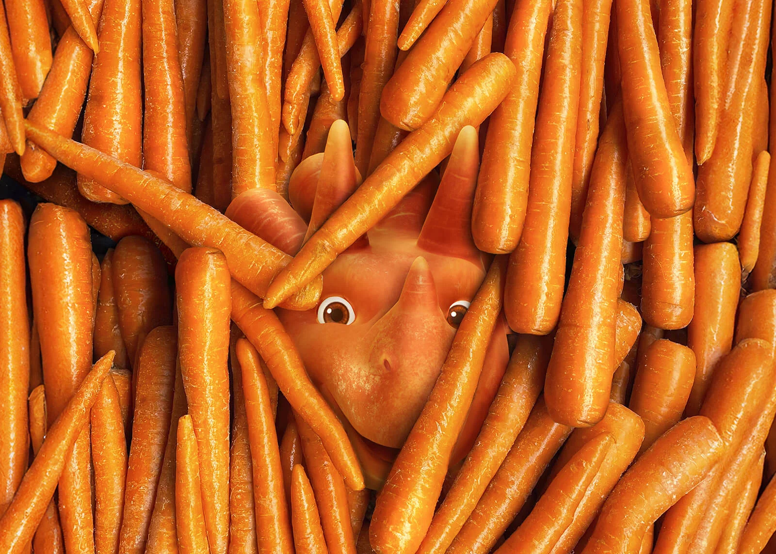 Ontdek de Vegesauriërs bij Okay